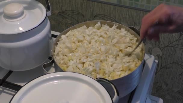 Mujer se prepara para un ragú de verduras — Vídeos de Stock