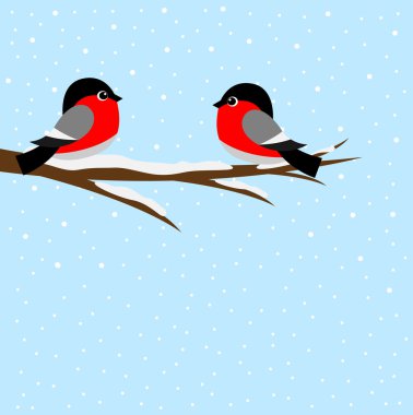 Bir ağaç dalı üzerinde oturan iki şakrak kuşu