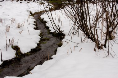 streamlet kış ahşap