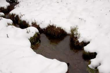 streamlet kış ahşap
