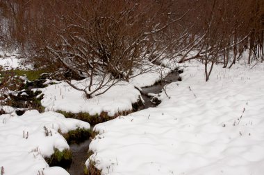 streamlet kış ahşap