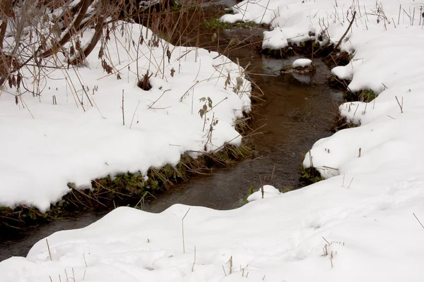 Streamlet en un bosque de invierno — Foto de Stock