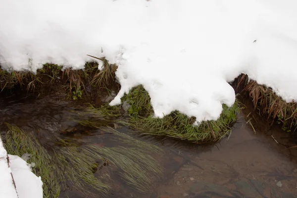 Streamlet en un bosque de invierno — Foto de Stock