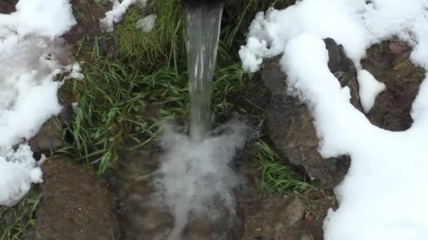 Manantial con agua pura — Vídeo de stock