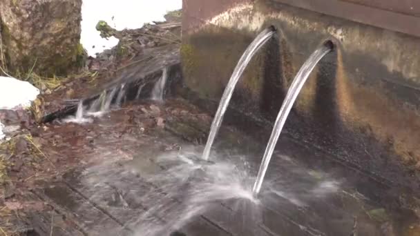 Manantial con agua pura — Vídeos de Stock