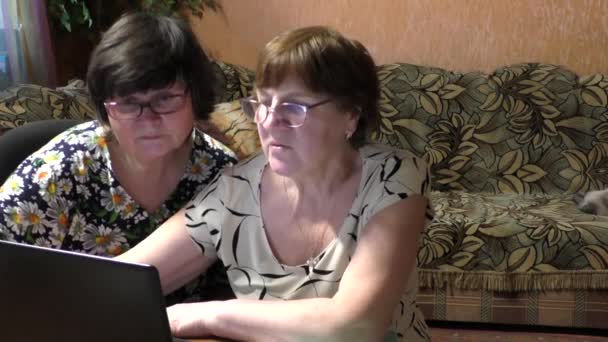 Twee vrouwen aan de tafel met een laptop — Stockvideo