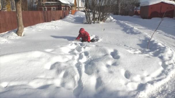 Chico sneaks en snowdrift — Vídeos de Stock