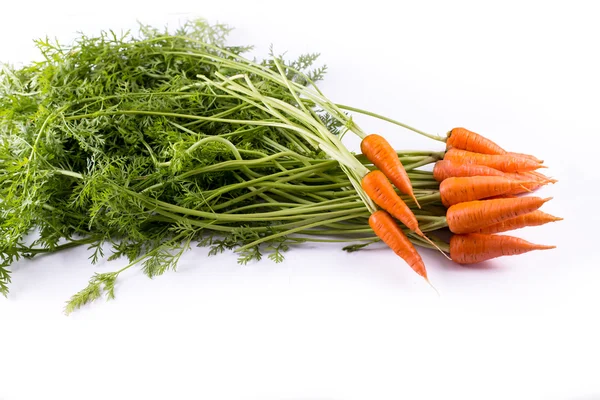 Ramo de zanahorias — Foto de Stock