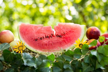 Bir dilim karpuz.