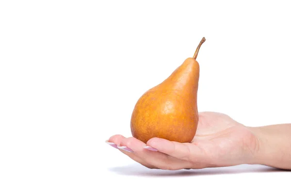 Hand Holding One Ripe Yellow Pear Isolated White Copy Space — Stock Photo, Image