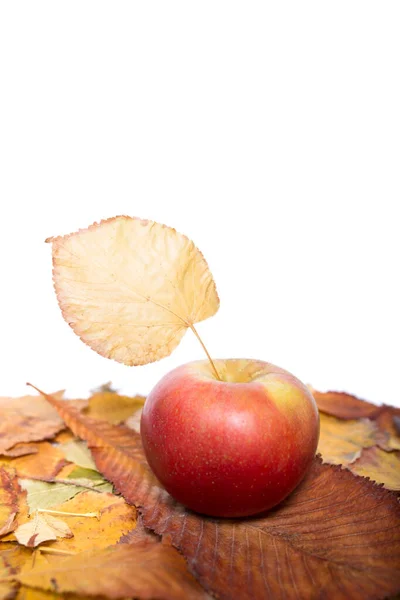 Mela Rossa Con Foglie Gialle Cadute Fondo Bianco — Foto Stock