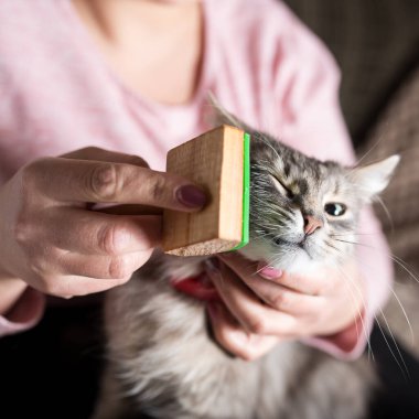 Kadının elleri güzel gri arabayı metal fırçayla fırçalıyor..
