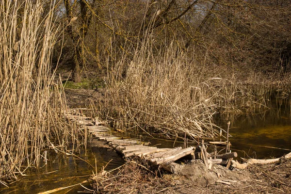 Dekorativ Trägångbro Över Bäck Skogen Solig Dag Över Bäck Skogen — Stockfoto