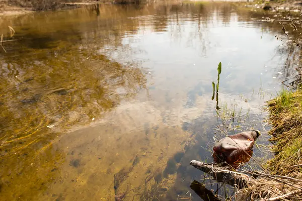 野生公園内の明確な小さな森の川で1本の古いペットボトル — ストック写真