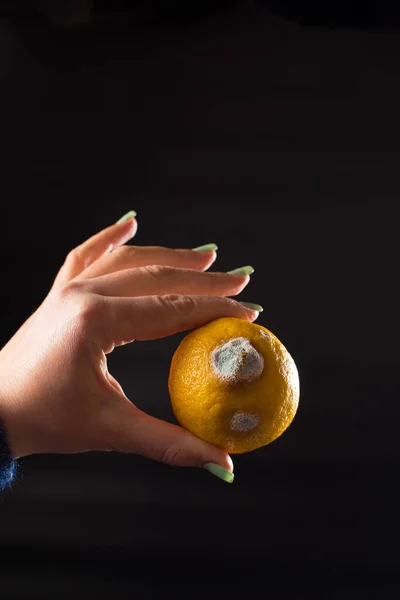 Mouldy Yellow Lemon Holding Female Hand Close Black Background — Stock Photo, Image