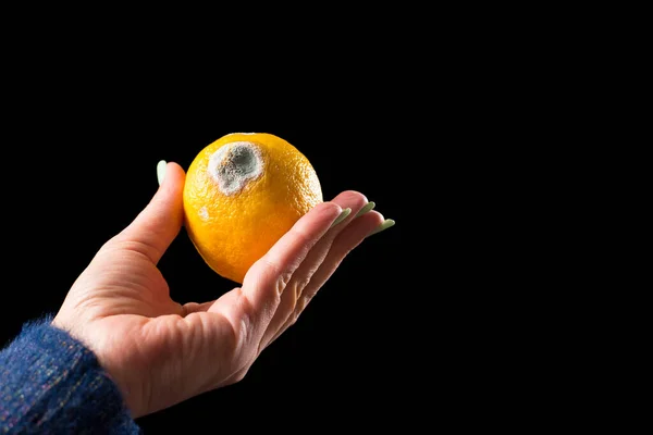 Wasted Moldy Yellow Lemon Female Hand Isolated Black Background — Stock Photo, Image