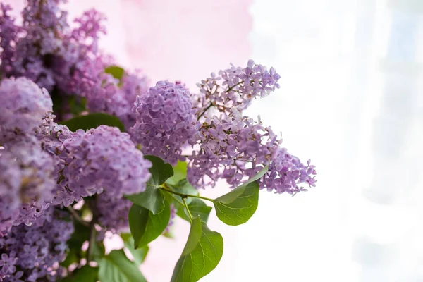 Bouquet Blooming Purple Lilac Vase Close Window — Stock Photo, Image