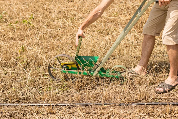 Gardener Seeding Crops Summer Dry Conditions Using Drip Tape Irrigation — Stock Photo, Image