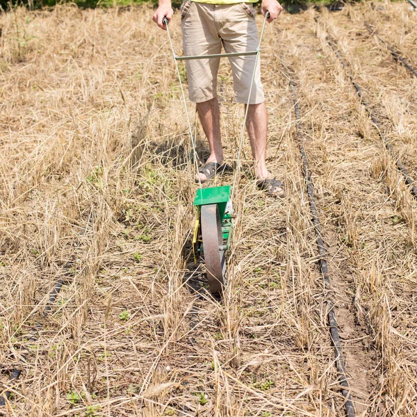 Man Seeding Covering Crops Manual Seederon Field Drip Tape — Stock Photo, Image