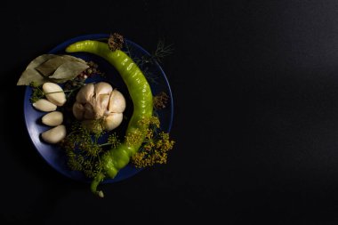 Siyah zemin üzerinde farklı taze otlar ve baharatlar..