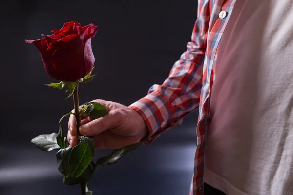 Primeira Namoro Mão Masculina Segurando Vermelho Rosa Perto Fundo Preto — Fotografia de Stock