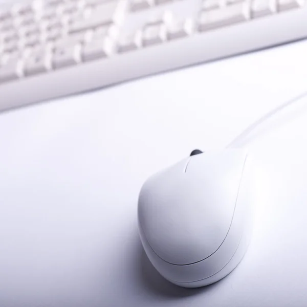 White mouse — Stock Photo, Image