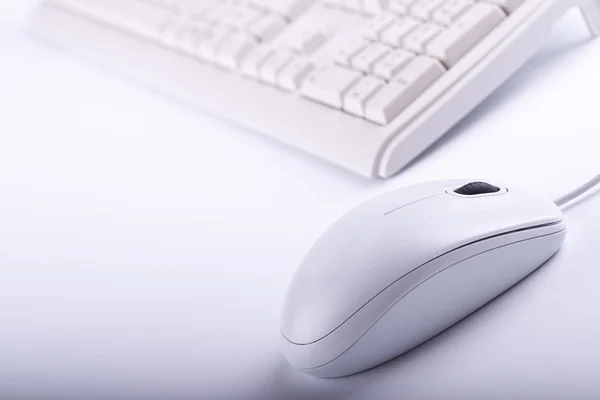 Souris blanche et clavier — Photo