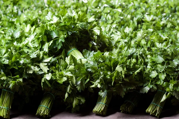 Bunch of parsley — Stock Photo, Image