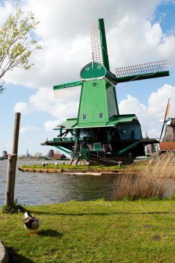 Hollanda'da fabrikaları
