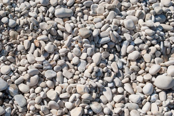 Background  pebbles — Stock Photo, Image