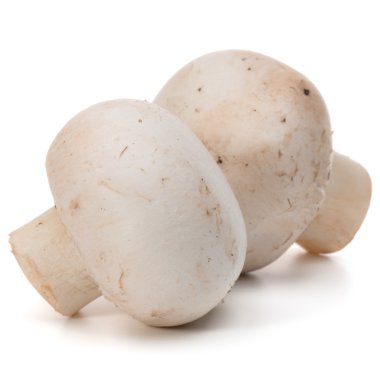 petrol üzerinde beyaz izole