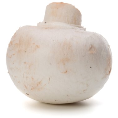 izole Champignon mantar