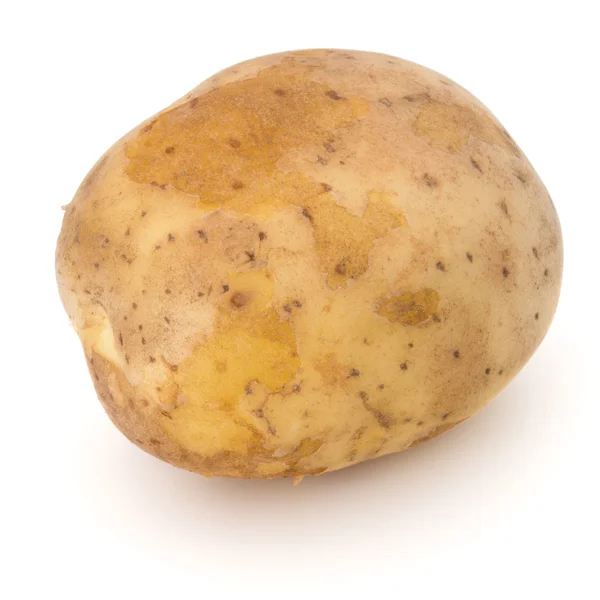 Isolerade färsk potatis — Stockfoto