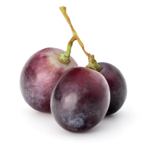 Red grape berries bunch — Stock Photo, Image