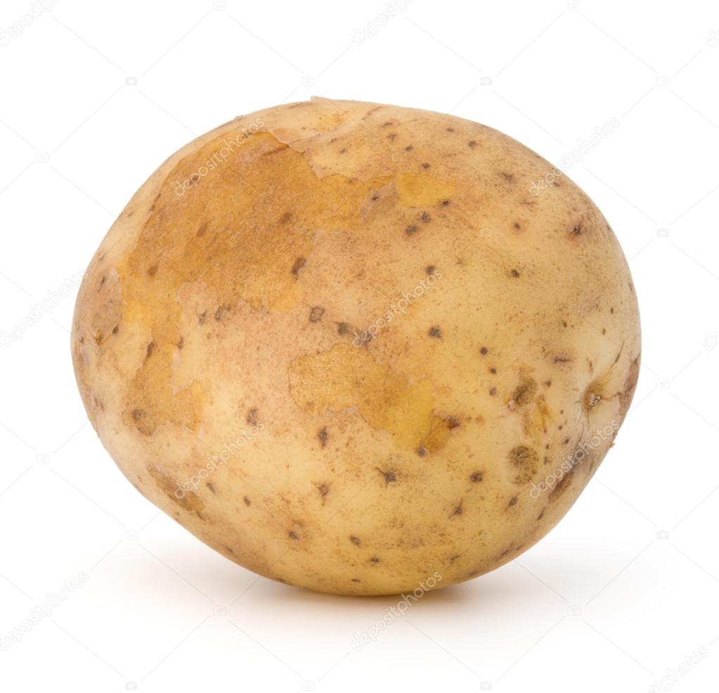 isolated fresh potato