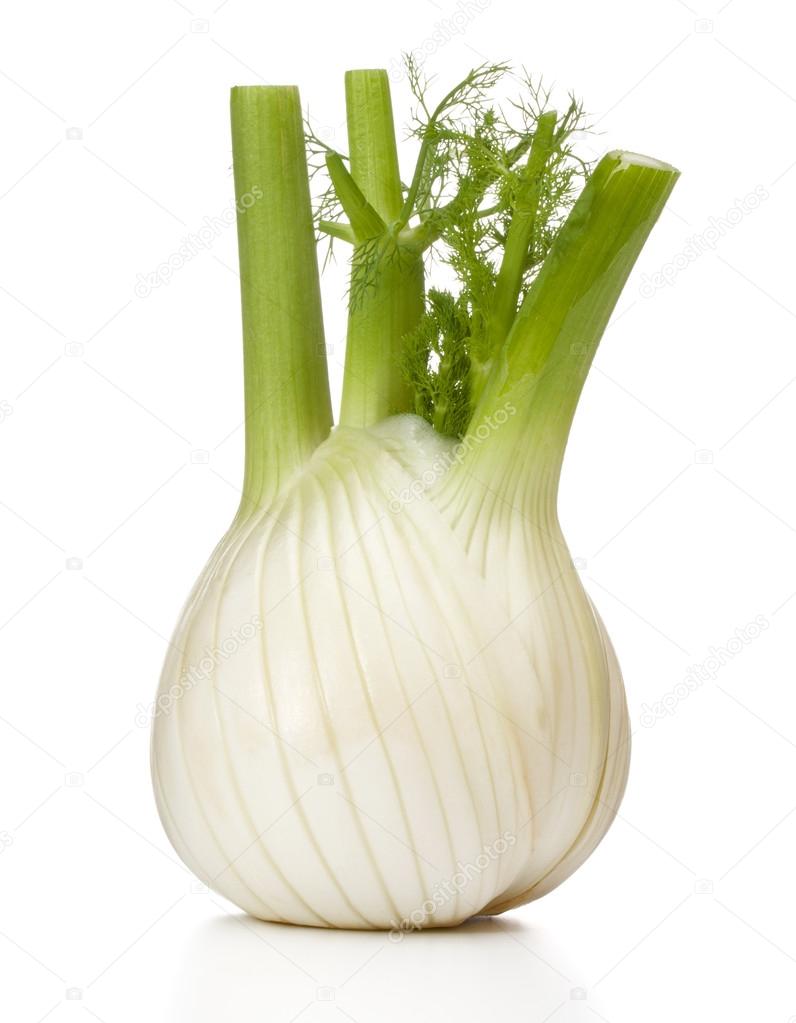 Stock photography ▻ Fresh fennel bulb isolated on white background close up...