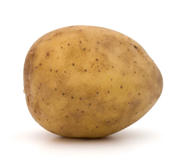 Nuevo tubérculo de patata —  Fotos de Stock
