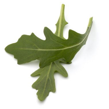 Tatlı rucola salata