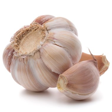 sarımsak ampul beyaz izole