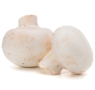 petrol üzerinde beyaz izole