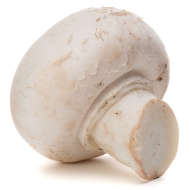 beyaz izole champignon