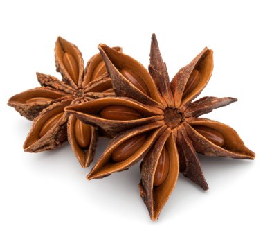 Star anise spice fruits clipart