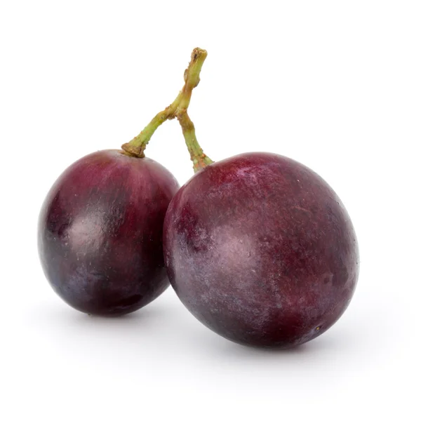 Uvas vermelhas bagas cacho — Fotografia de Stock