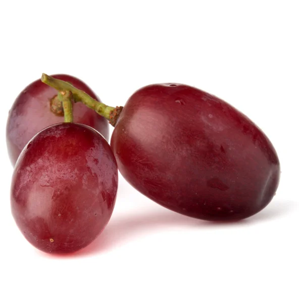 Red grapes berries bunch — Stock Photo, Image