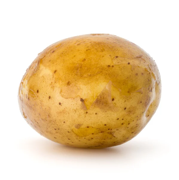 Nya potatis rotsaker — Stockfoto