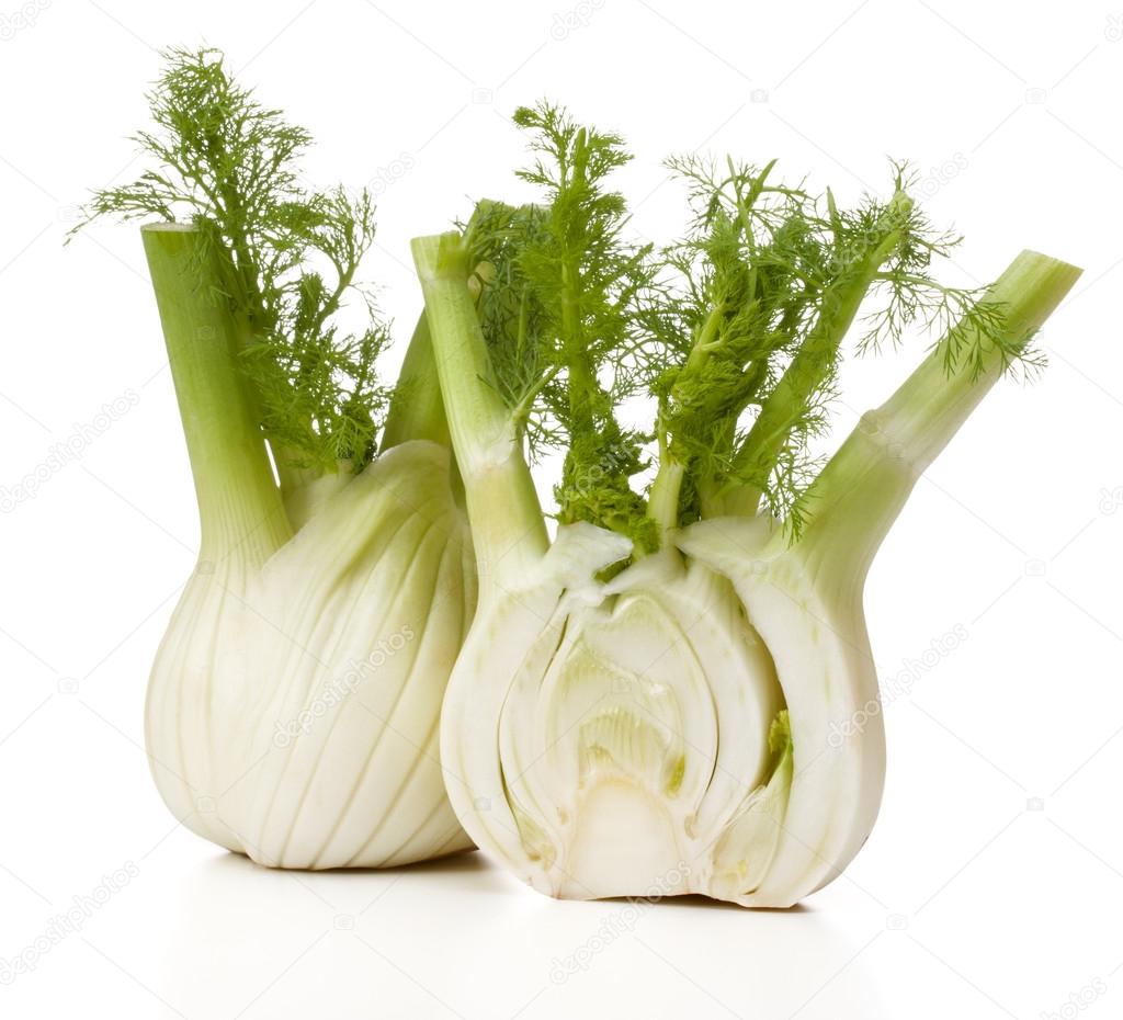 Stock photography ▻ Fresh fennel bulbs isolated on white background close u...