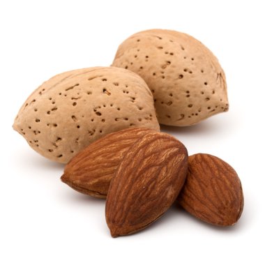 Badem fındık kabuklarında 