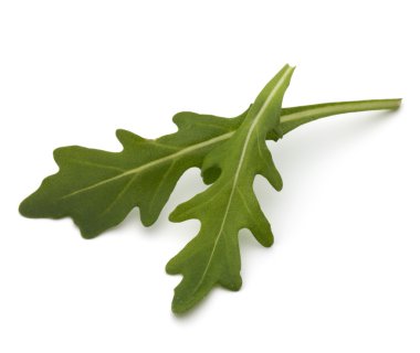 Tatlı rucola yaprakları