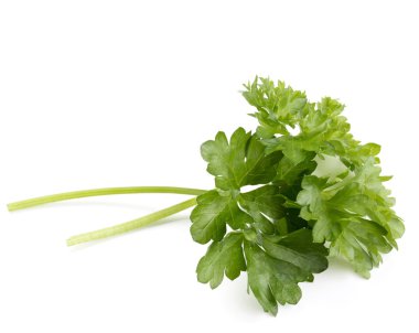 taze maydanoz yaprakları grup