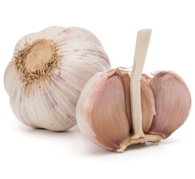 Olgun sarımsak ampuller